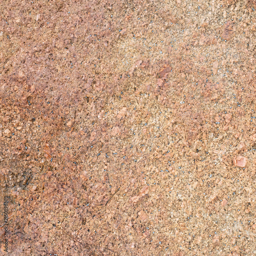 High‑resolution close‑up of a natural rock surface showing detailed texture, organic patterns, and weathered geological features. Ideal for backgrounds, design elements, and nature‑themed creative pro