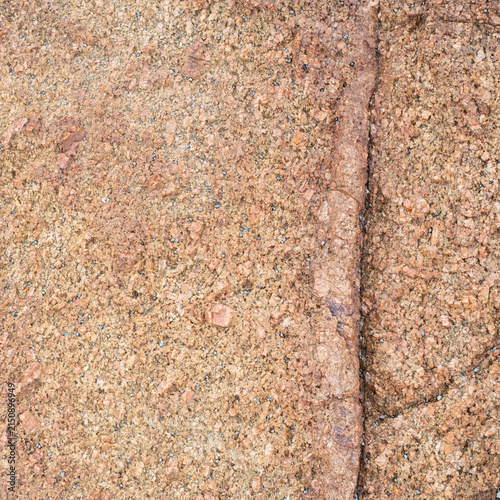 High‑resolution close‑up of a natural rock surface showing detailed texture, organic patterns, and weathered geological features. Ideal for backgrounds, design elements, and nature‑themed creative pro