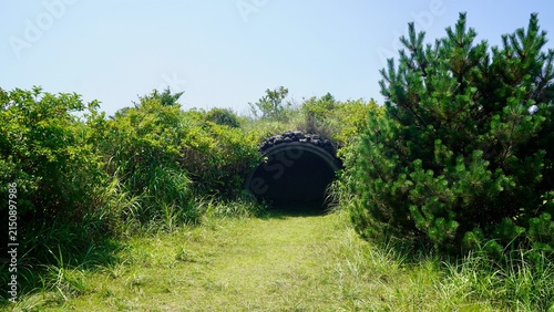 Obraz na płótnie 東京都伊豆諸島伊豆大島の三原山トレッキングコースに設置された噴火用退避壕