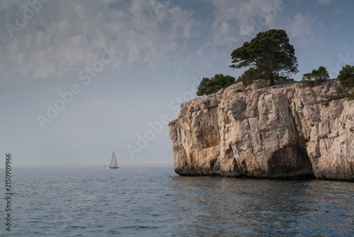 Cassis