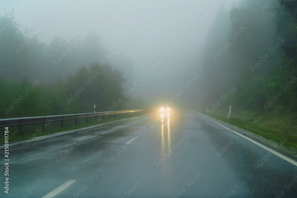 Naklejka premium A wet asphalt road in autumn, in the rain.