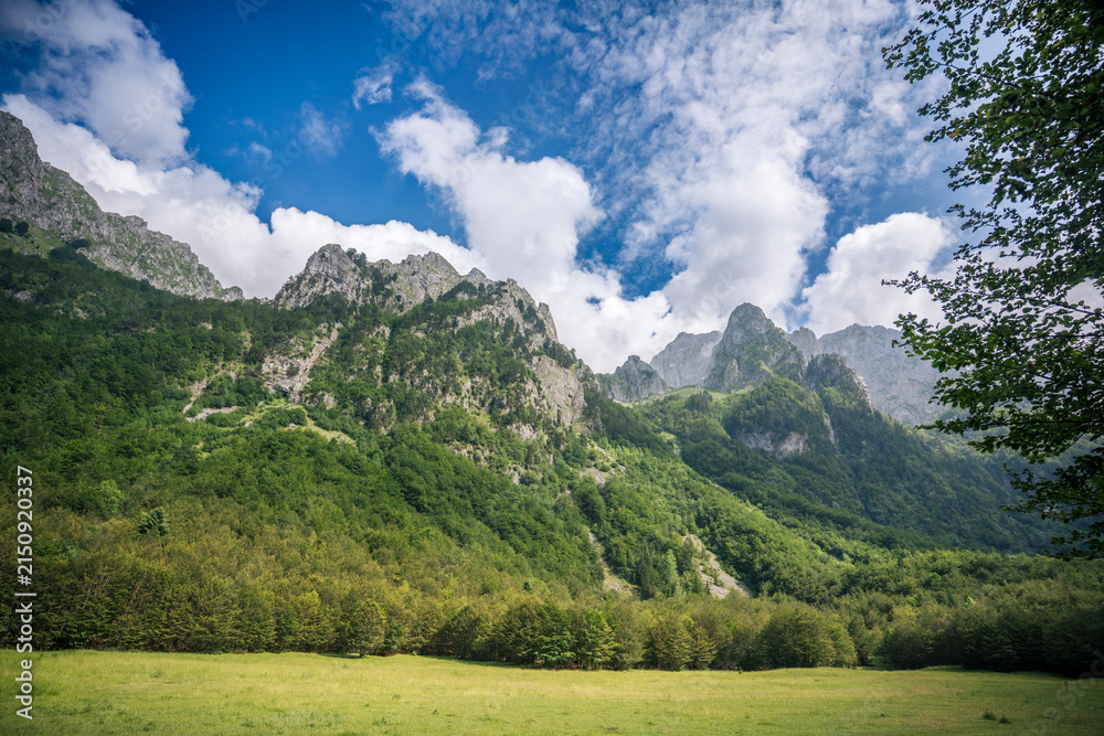 Fototapeta premium Scenic view of lush green grassland against majestic alpine peaks in Montenegro. Summer wilderness nature.