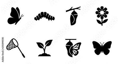 Butterfly Life Cycle Icons, Insect Metamorphosis Vector Set, Nature Biology Graphics, Garden Entomology Symbols, Growth Stages Illustrations