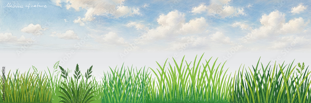 Fototapeta premium Grass Field Under Blue Sky Hand-Drawn Illustration
