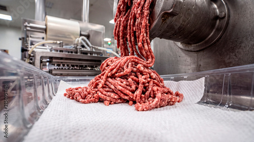 Industrial extruder portions fresh ground beef into trays in a processing facility
