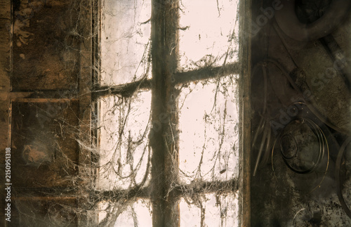Cuadro en lienzo Invisible glances filter through the cobweb-covered window into the man-abandoned and ghostly abode