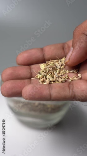 Close-up of Fennel Seeds in Hand and Pour into Bowl, Aromatic Spice, Culinary Ingredient, Natural Flavor, Herbal Remedy, Traditional Medicine, Food Preparation