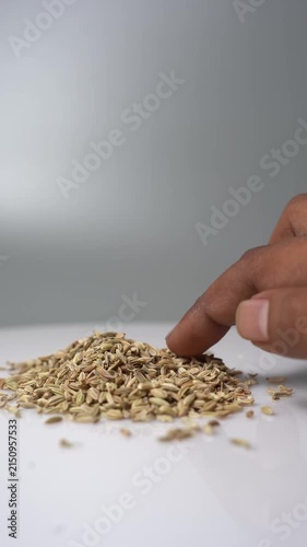A hand gently touches a pile of dried fennel seeds, highlighting their texture and quantity, against a clean white background, ideal for culinary and spice themes