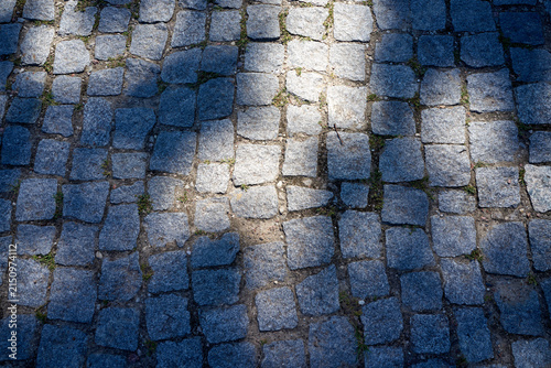 фотографія Dappled sunlight and tree shadows on cobblestone pavement