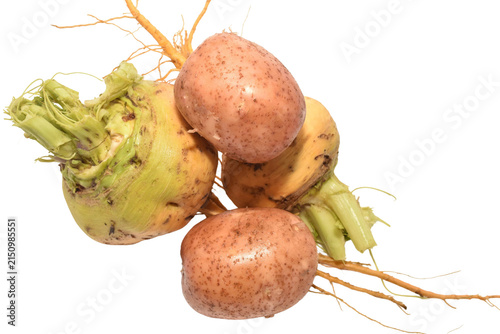 A group of ripe turnip roots with worm-damaged skin and potatoes.