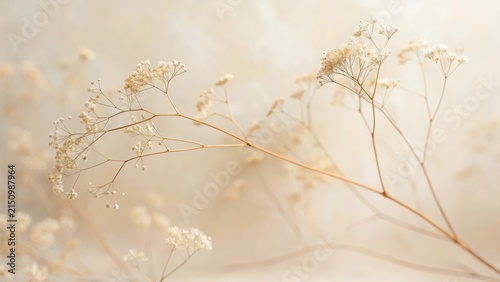 Delicate Dried Floral Branches in Soft, Muted Hues Exhibiting Natural Elegance and Subtle Beauty