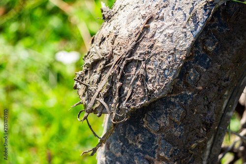 Konstfotografi Muddy rear fender of an electric fat bike showing thick layers of dirt and debri