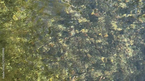 stream of water