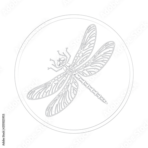 Dragonfly Line Art Illustration in Circular Frame
