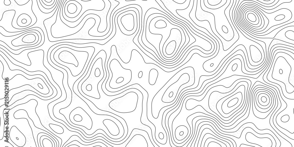 Fototapeta premium Modern abstract topography line pattern background, curved elevation bands across the surface, for website, header and print layout.
