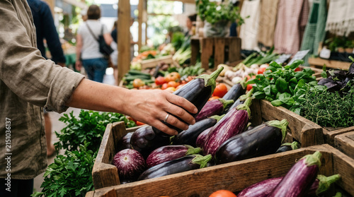 Fresh Eggplant Selection At Bustling Farmers Market