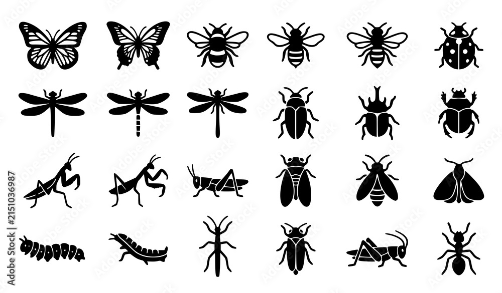 Fototapeta premium Garden and nature insect glyph icon collection featuring butterflies bees beetles dragonflies mantis cicadas moths and bug silhouettes
