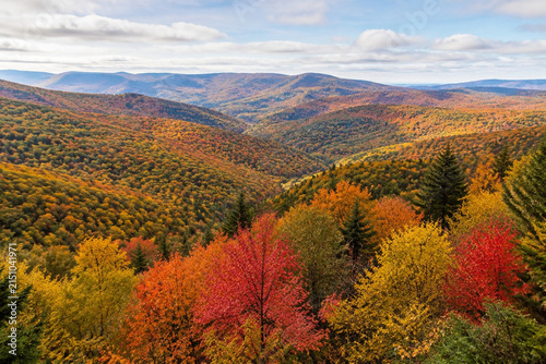 Rolling hills of Allegheny Mountains covered in autumn foliage during soft daylight.