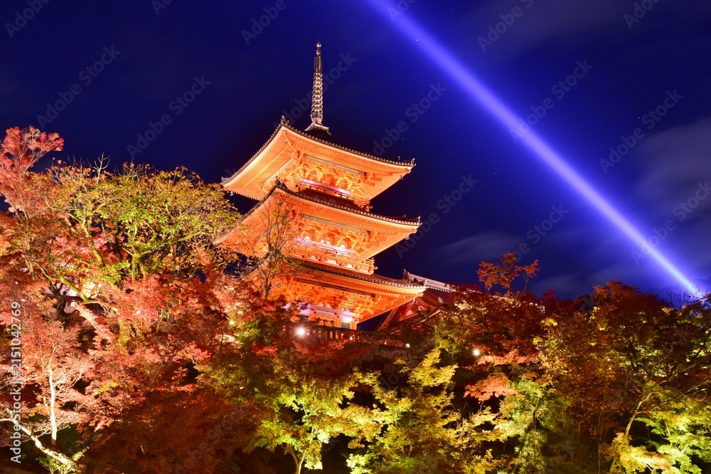 Obraz premium 秋のライトアップされた清水寺