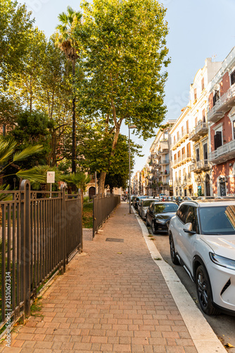 Bari, Italy tree-lined sidewalk with parked cars along residential street in warm afternoon light, concept of Mediterranean urban life and southern European city