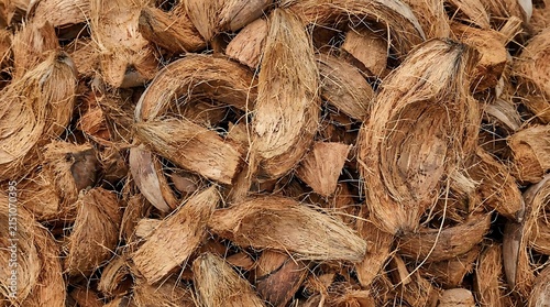 Pile of dried brown coconut husk fibers.