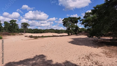 Wide Panoramic View of Inland Sand Dunes at Soesterduinen