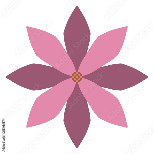 pink flower isolated on white