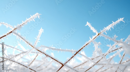 Frosted flower stems create stunning display against clear blue sky, evoking sense of winter