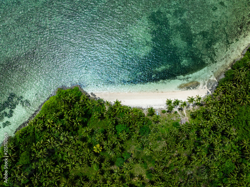 Foto White sandy shore lined with coconut trees meets turquoise sea