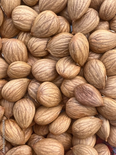 Detailed Close Up Background of Organic Brown Apricot Kernels and Seeds with Natural Textures