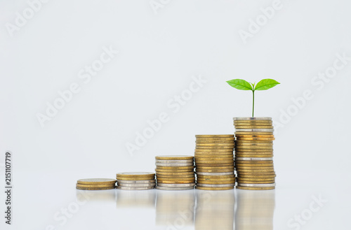 coin stack money saving concept. green leaf plant growth on rows of coin on white background. money matters tips to investment and business financial banking for Financial Wellness.money management.