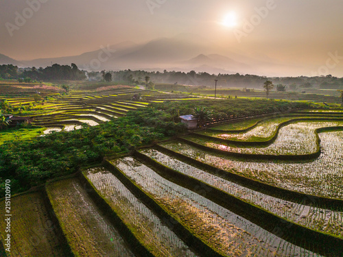 Aerial view of lush green rice terraces at sunrise with golden light reflecting in the water, surrounded by palm trees and misty mountains in Wonosobo, Central Java, Indonesia.