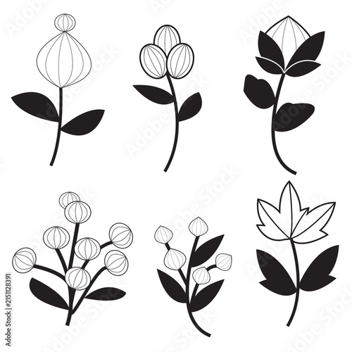 A set of intricate floral line art drawings