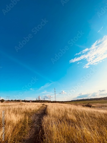Vast Countryside Landscape with a Dirt Path, Golden Dry Grass Fields, and a Bright Blue Sky