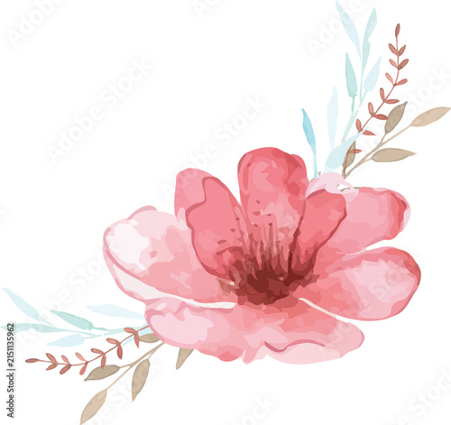 vector illustration of a pink flower watercolor
