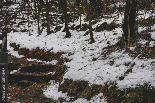 Stone steps hiking trail with melting snow