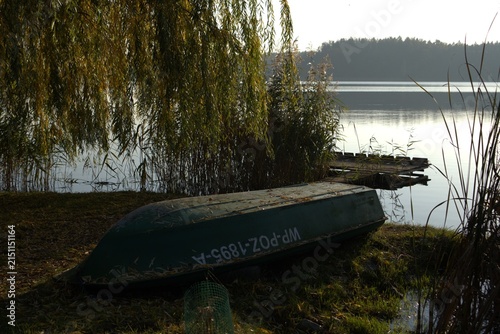 Canvas Print An inverted old green rowing boat sits on a grassy lake shore under a willow tree in autumn