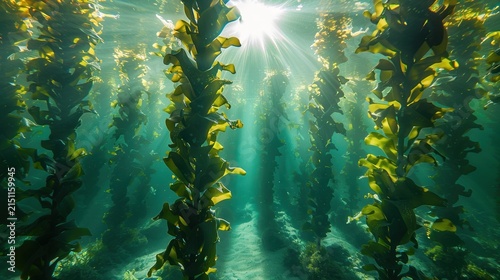 Sustainable underwater vertical kelp seaweed farm with sunbeams
