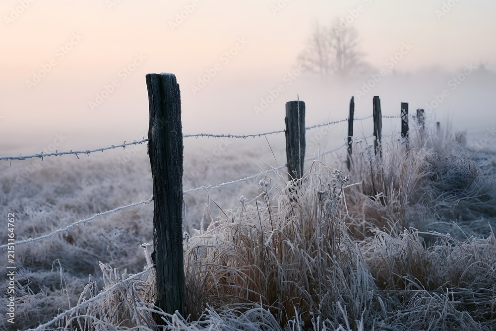 Fototapeta premium Hoarfrost Weathered Fence
