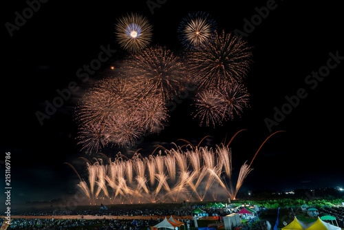 White and gold fireworks with fan-shaped trails over crowd in Japan