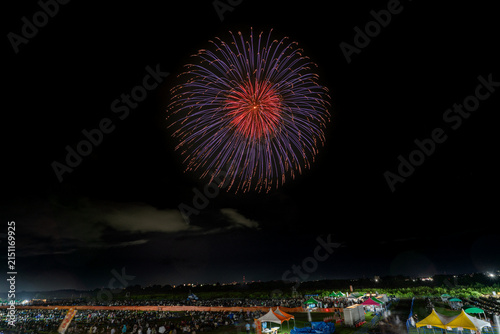 Single blue-purple firework in quiet night sky over Japan