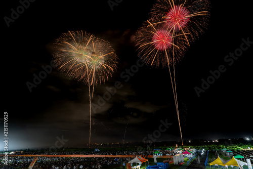 Green and red fireworks pairs blooming together in night sky
