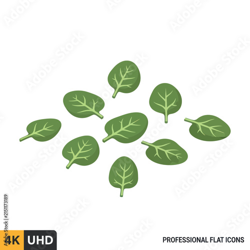 Flat Design Green Leaf Icons Set for Graphics.