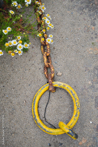 фотографія mooring chain on a quayside