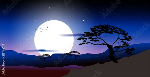 An illustration of a peaceful night scene under a bright night sky, featuring silhouettes of trees, stars, and a flock of birds.