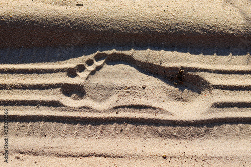 sand beach sand