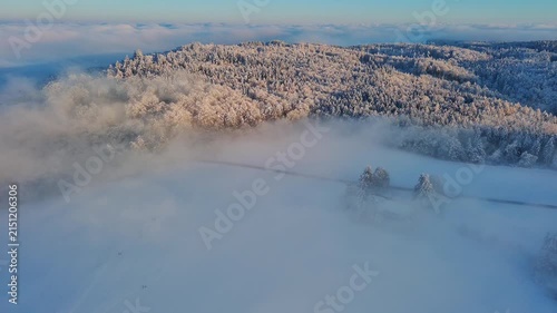 Aerial View of Snowy Forest and Fields as Morning Fog Lifts