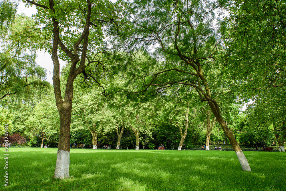Obraz premium Natural Scenery of Liulang Wenying Park, Hangzhou, Zhejiang, China