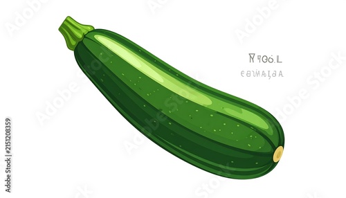 Fresh organic green zucchini vegetable close up.