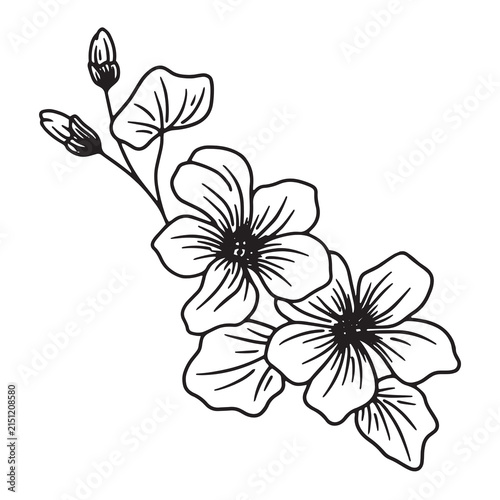 abstract floral background